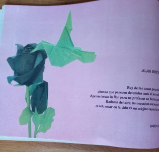 Libro Infantil Acertijos de Papel in Spagnolo 5-8