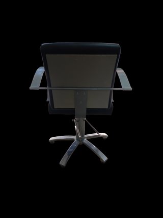 Silla de peluquería elevable y giratoria