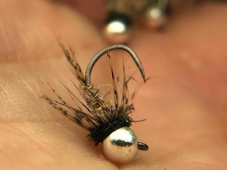 NINFAS PARA LA PESCA DE TRUCHAS