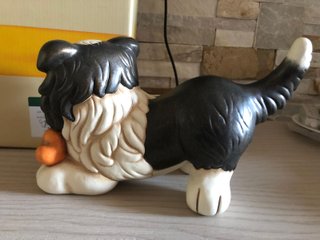 Thun Cane Border Collie 2019-2020