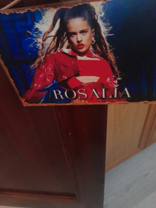 Cuadro Rosalía madera 28x19
