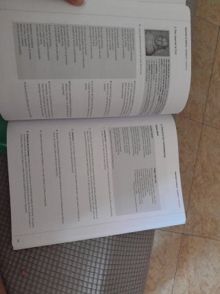 Aprende lo básico. Lengua castellana y Literatu...