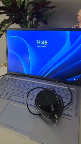 Portátil ASUS ZenBook UX431FA 14 Gris