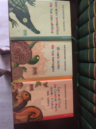 Los ojos amarillos de los cocodrilos