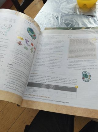 Biología y Geología 1 ESO