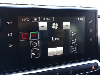 Citroen C4 Cactus PureTech 110 S&S Feel 81 kW (110 CV)