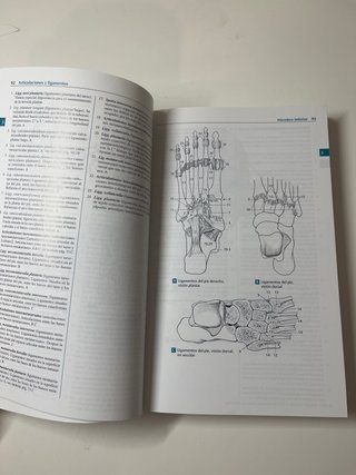 ATLAS ILUSTRADO ANATOMÍA