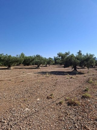 Terreno en venta en Roquetes