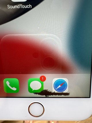 iPhone 6S Plus Dorado/Plateado