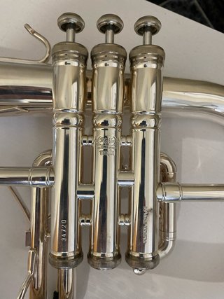 Fliscorno Stomvi Titan