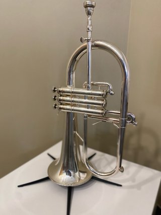 Fliscorno Stomvi Titan