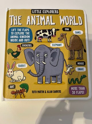 2 libros Little Explorers