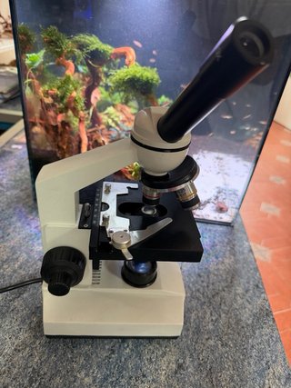 Microscopio Monocular 400 aumentos