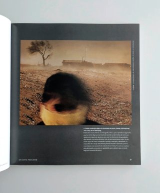 La Visión Del Fotógrafo Entender y Apreciar la ...