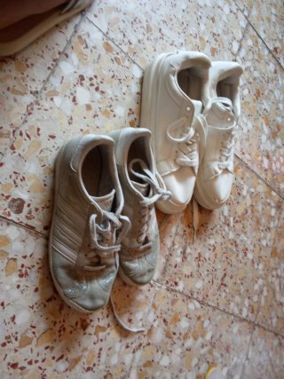Lote de Zapatos Blancos y Grises
