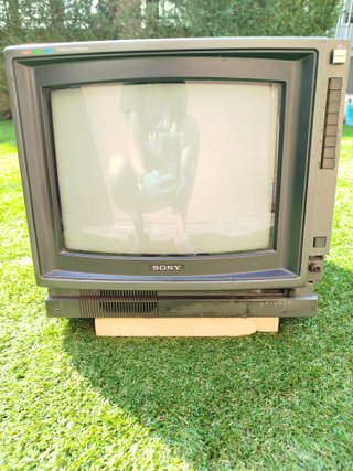 TV Sony Trinitron 14 Negra