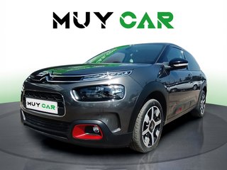 Citroen C4 Cactus BlueHDi 100 S&S Live 73 kW (99 CV)
