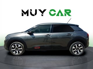 Citroen C4 Cactus BlueHDi 100 S&S Live 73 kW (99 CV)