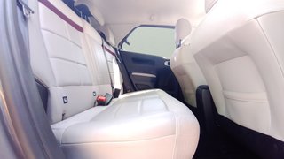 Citroen C4 Cactus BlueHDi 100 S&S Live 73 kW (99 CV)