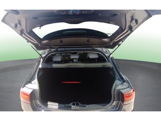 Citroen C4 Cactus BlueHDi 100 S&S Live 73 kW (99 CV)