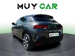 Citroen C4 Cactus BlueHDi 100 S&S Live 73 kW (99 CV)