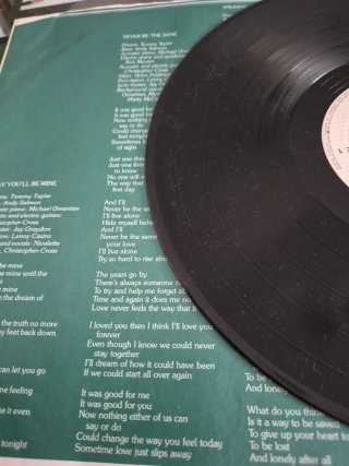 Vinilo Christopher Cross LP