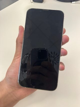 iPhone 13 Pro Max 256 GB 77% batería