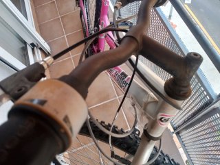 Bicicleta Mujer Globe Trotter Rosa