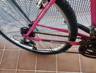 Bicicleta Mujer Globe Trotter Rosa