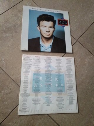 Rick Astley - Hold Me In Your Arms Vinilo