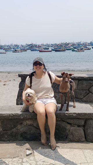 PASEO Y CUIDADO DE PERROS