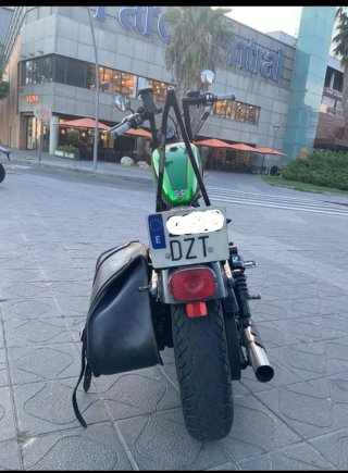 Harley Davidson Sportster 1200 Custom