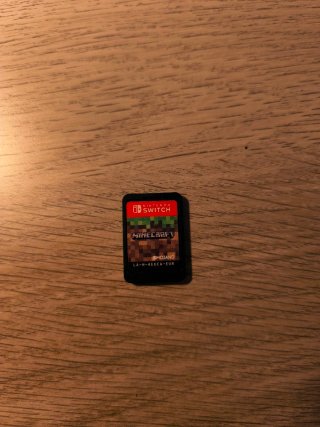 Minecraft Nintendo Switch