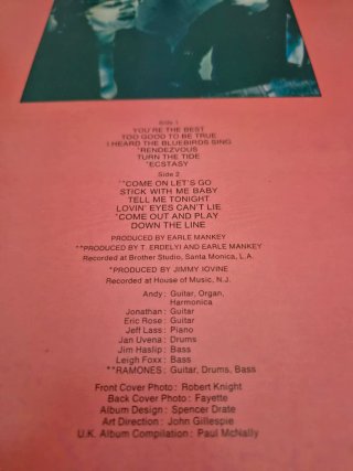 Vinilo LP The Paley Brothers the Ramones