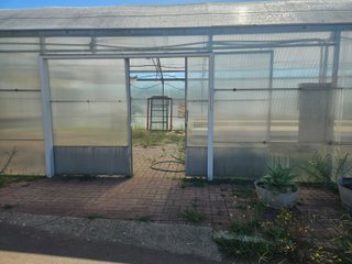 Invernadero 128m2
