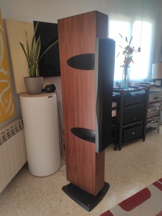 Altavoces Dynaudio Confidence C4 color palisandro