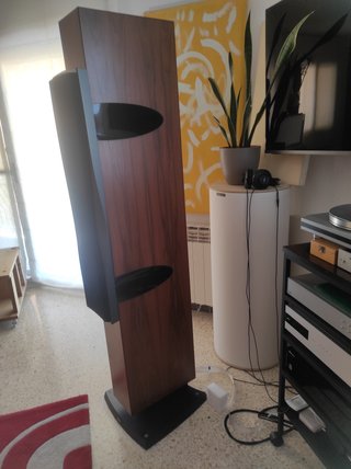 Altavoces Dynaudio Confidence C4 color palisandro
