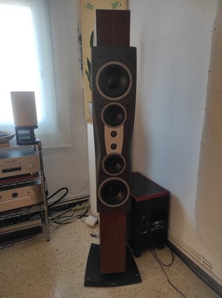 Altavoces Dynaudio Confidence C4 color palisandro