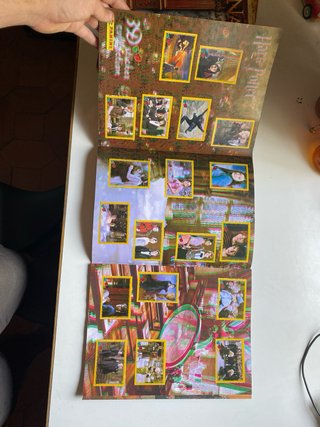 Album Panini Harry Potter Caliz Fuego entero 3D