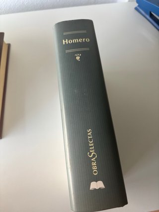 Homero odisea e iliada