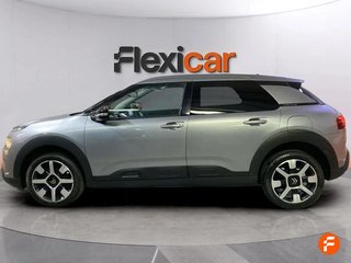 Citroën C4 Cactus PureTech 110 S&S Shine