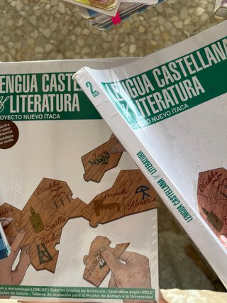 Lengua Castellana y Literatura, 2 Bach, Proyect...