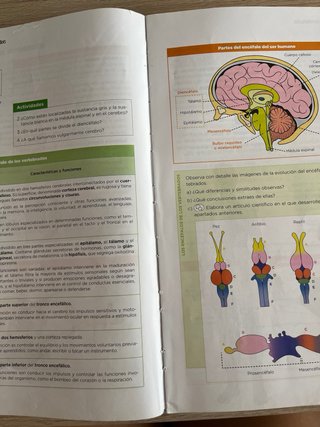 Biología, Geología y Ciencias Ambientales 1º Bach
