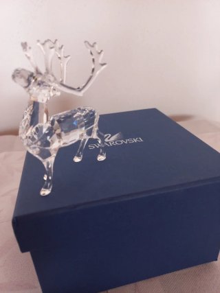 Reno Swarovski Cristal