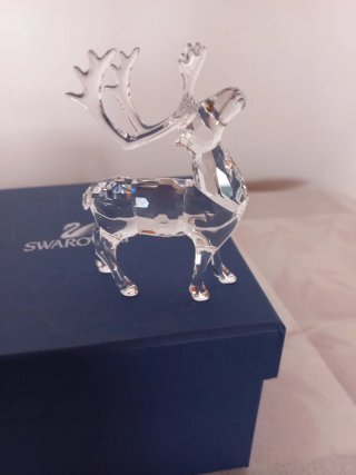 Reno Swarovski Cristal