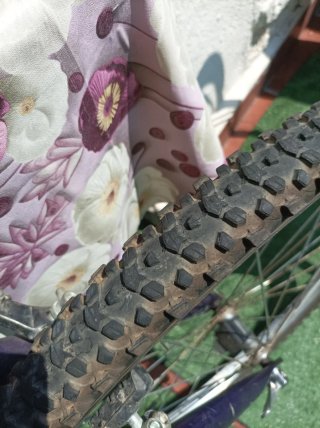 Bicicleta BH Top Line Aluminio