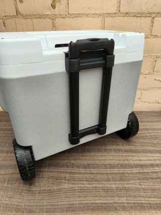 Nevera Eléctrica IGLOO 42L 12V/230V