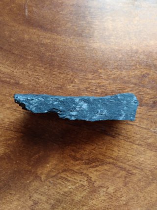 Fósil auténtico Carbonífero superior