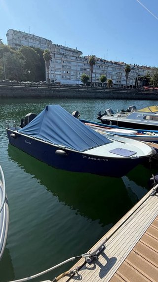 Planeadora 2013 - Tohatsu 90CV