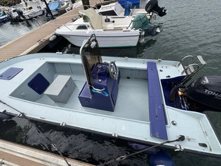 Planeadora 2013 - Tohatsu 90CV